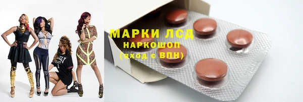 PSILOCYBIN Беломорск