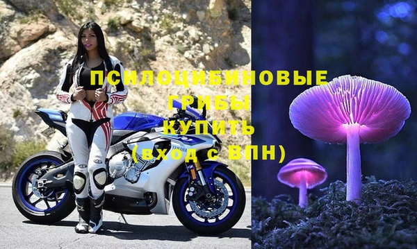 PSILOCYBIN Беломорск