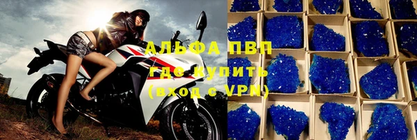PSILOCYBIN Беломорск