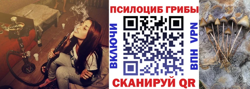 наркота  Великие Луки  KRAKEN зеркало  Псилоцибиновые грибы MAGIC MUSHROOMS 